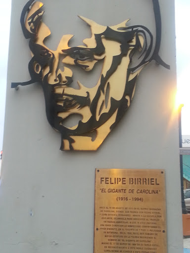 Carolina Giant Felipe Birriel 1916-1994