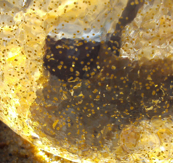 Sausage Jelly Project Noah