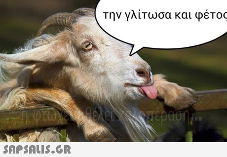 την γλίτωσα και φέτο 