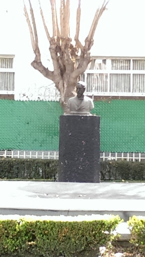 Busto Jardín Retama 