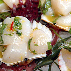 Nantucket Bay Scallops in Tequila, Citrus, and Chile Dressing