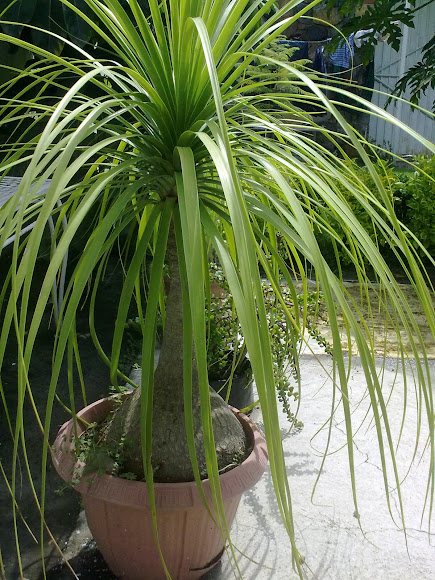 Spotting Image 1
