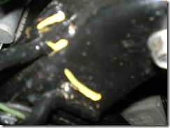 Proton Damage - After Harrison 039