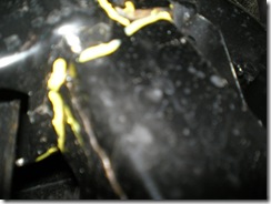 Proton Damage - After Harrison 051