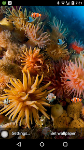 How to install Coral reef live wallpaper lastet apk for android