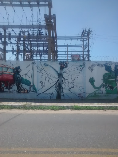 Grafite Gato Da Energisa