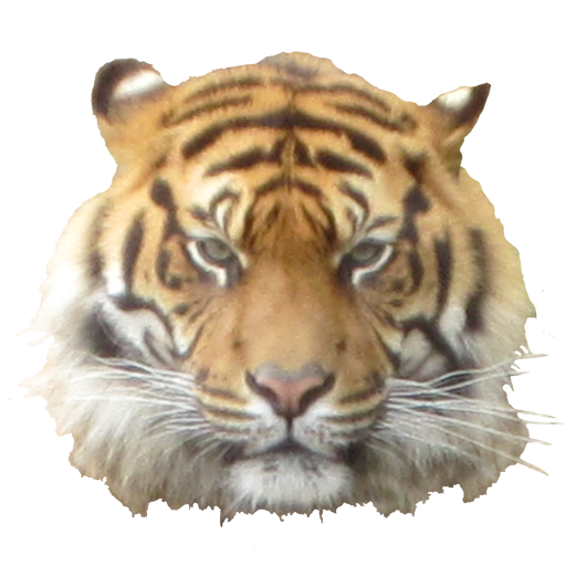 Tiger Head Sticker 個人化 App LOGO-APP開箱王