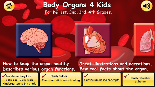 Body Organs 4 Kids