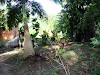 Choroni Vendo Terreno En Choroni 4200 Mts