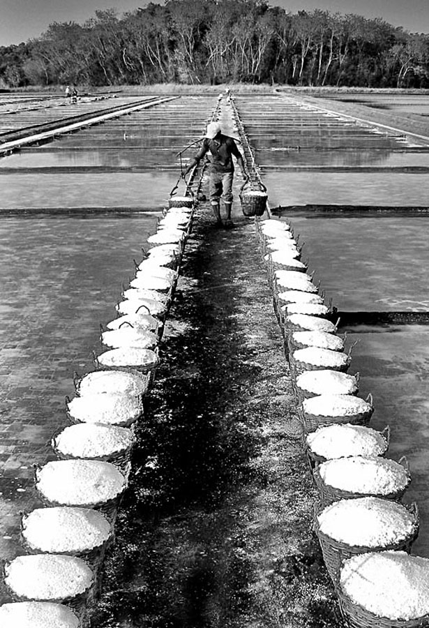 SALT FARM by Edwin   S. Loyola - News & Events World Events ( black and white )