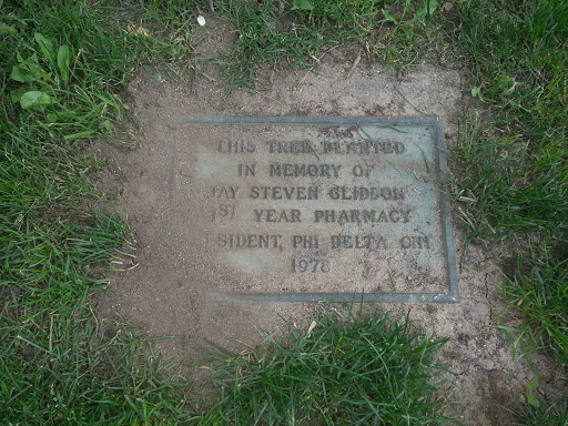 Gliddon Pin Oak Memorial