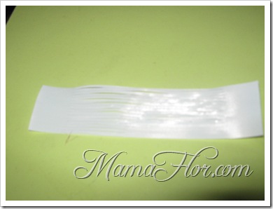 IMG_3246 IMG_3246