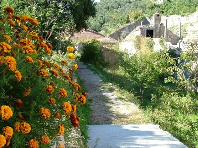 [countrylane_Sipan2.jpg]