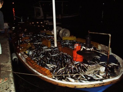 [justreturnedfromthesea3.jpg]