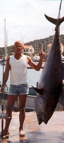 [tuna_[2].png]