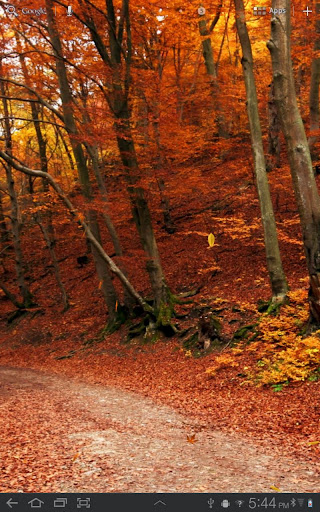 Autumn Live Wallpaper HD