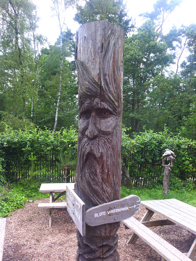 Woodenart At Blote Voetenpark