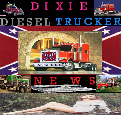 [DDTN LOGO[2].jpg]