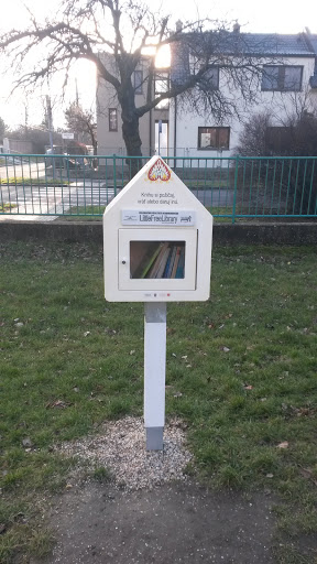 Little Free Library 2