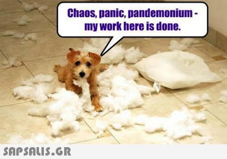 Chaos, panic, pandemonium- my work here is done. 