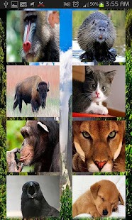 How to install أصوات واسماء الحيوانات ٣ patch 2 apk for laptop