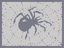 Thumbnail of the map 'Web'