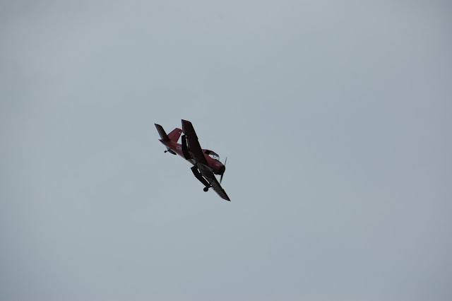 DSC_4733.JPG