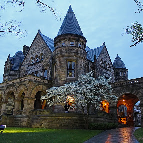 Buhl Mansion, Sharon, PA by Andrew Lawlor - Buildings & Architecture Architectural Detail