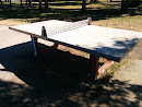 Outdoor Ping-Pong Table