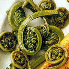 Sauteed Fiddlehead Ferns
