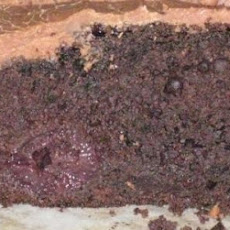 Cherry Chocolate Cake