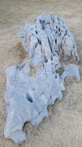 太湖石Taihu Stone