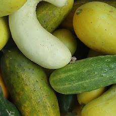 Cucumbers and Radishes with Buttermilk and Chives