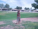 Wood Coyote Statue
