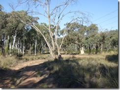 2008_0408australie0084