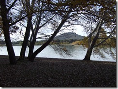 2008_0424austr0065