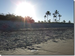 2008_0505austraaaayngg0132