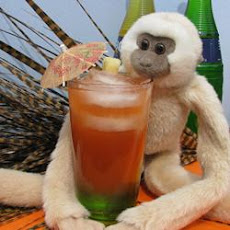 Drunk Monkey