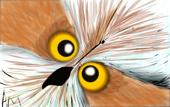 Owl's eyes v3.0