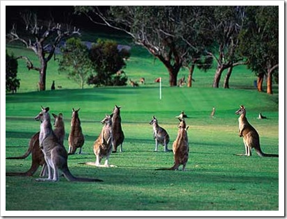 AUSTRALIA