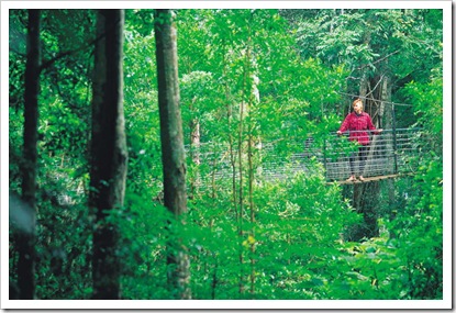 lamington-national-park