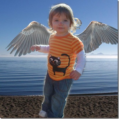 jordan wings practice crop 1