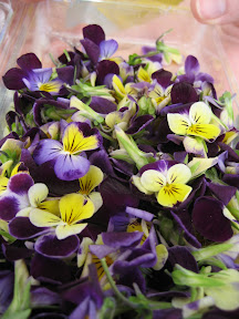 Violas at Red Wagon Organic Farm booth