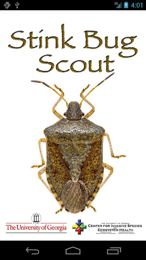 Stink Bug Scout