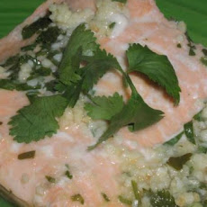 Poached Salmon With Ginger and Cilantro