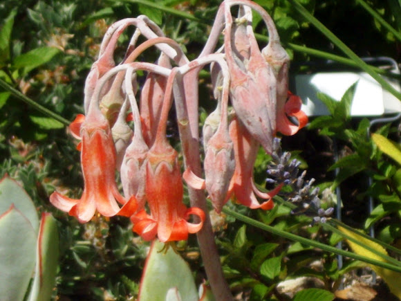 Spotting Image 1