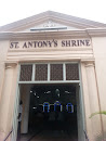 St. Anthony' Shrine 