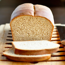 Basic Whole Wheat Bread