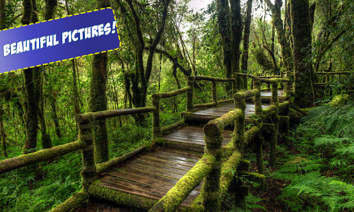 How to download Forest Jigsaw Puzzles 1.0 apk for android