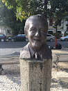Carinha Da Praça Oswaldo Cruz